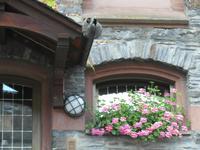 Wasserspeyer