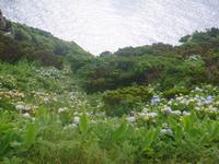 Insel Flores
