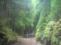 Wanderung Sete Cidades