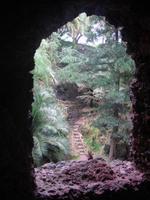 Botanischer Garten in Ponta Delgada