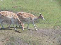 Serengeti-Park Hodenhagen