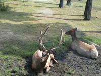 Serengeti-Park Hodenhagen