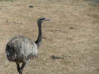 Serengeti-Park Hodenhagen