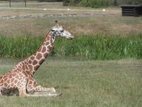 Serengeti-Park Hodenhagen