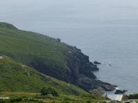 Dingle