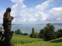 Schloss Arenenberg - Gartenanlage2