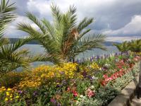 Seepromenade in Überlingen