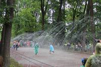 Wasserspiel im Garten des Peterhof