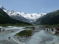 Blick zum Roseggletscher