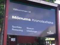 Zwischenstopp an Schwedens berühmten Lachsfluß