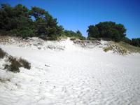 Sandstrand von Dueodde auf Bornholm