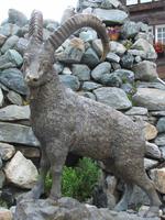 Der Bronze-Steinbock