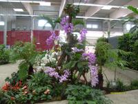 Blumenhalle