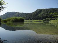 Naturschutzgebiet Förderlach