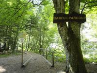 Barfußparcour, Tscheppaschlucht