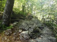 Tscheppaschlucht