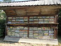 Orientierungstafeln für Bienen, Kirschentheuer