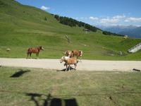 Wanderung auf dem Zettersfeld