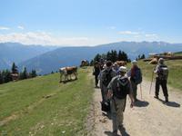 Wanderung auf dem Zettersfeld
