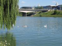 Maribor - Stadtrundgang