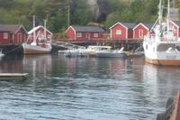 Nusfjord-Hafen