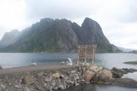 Impressionen des Lofotendörfchens Hamnöy