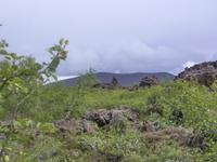 Im Lavalabyrinth Dimmuborgir