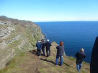 Wir suchen Papageintaucher