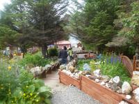 In Petras Steingarten