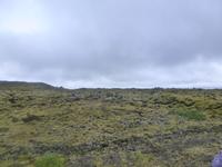 Laki Lavafeld