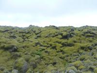 Laki Lavafeld