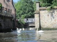 Brügge-Grachtenrundfahrt