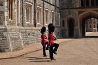 Changing the Guards in Windsor Castle
