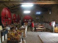 caveau du chene in Montcalm 