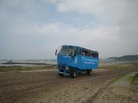 Puddle Duck auf dem Weg zum Elizabeth Castle bei Ebbe