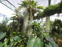 Eric Young Fundation