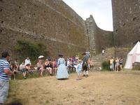 Falkenschau im Gorey Castle
