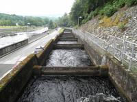 Pitlochry Lachstreppe