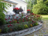 Rosen in Suderbys Hergard