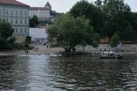 Am kleinen Moldaustrand genossen nicht nur Menschen das herrliche Wetter.