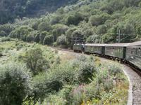 Fahrt mit der Flamsbahn