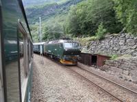 Fahrt mit der Flamsbahn