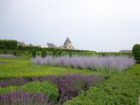 Teil des Gartens von Villandry