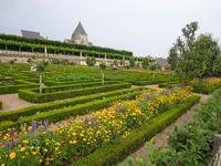 Blumenpracht im Kräutergarten