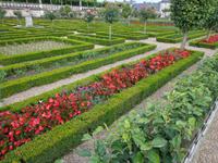 Blick in den Gemüsegarten von Villandry