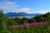 130 Narvik am Ofotfjord