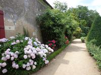 Im Blumengarten des Schloßparks von Chenonceau