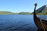 221 Wikingermuseum Borg