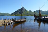 222 Wikingermuseum Borg