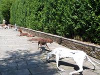 ....wenn auch nur aus Metall